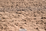 230526A-095230-01043