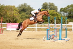 SBM_003848