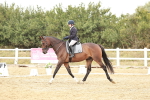 SBM_003681