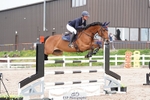 Cls 35 Young Horse 7yr old portfolio