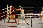 box 041008-29