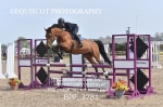 BPP_3781