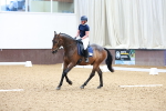 SBM_007696