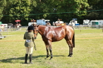 SBM_18910