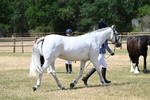 WJ7_1616