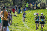 The Finish-1566