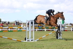 Class B: Showjumping Accumulator portfolio