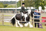 SBM_06131