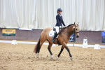 SBM_009133