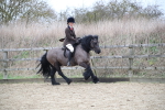SBM_006343