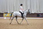 Class 9 - CT P2-70cm-80cm-90cm - CT BE92 portfolio