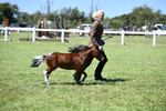 DSC_7095
