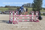 BPP_6958
