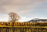 Viaduct and Bosley Cloud