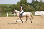 SBM_008560