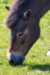 South West England portfolio