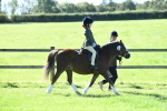 SBM_39528