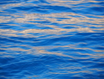 P93003280631
