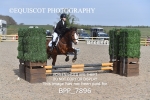 BPP_7896