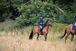 WJ6_2268