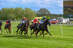 110526-Race 5-Lawmans Blis-1105