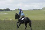 BVHT 140517  IXC -175