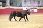 SBM_16660