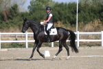 SBM_020193
