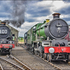 5029 and 5043 Tyseley 100 28.06.08