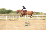 SBM_024020