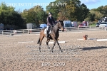BPP_9299