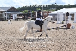 BPP_3294