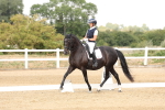 SBM_001955