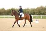 SBM_006447