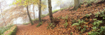 Path to Orrest Head