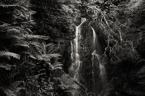 Dhoon Glen and the waterfall Inneen Vooar 'Big Girl' surrounded by the wonderful ferns and trees.