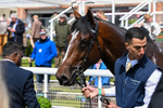 130526-Race 2-Klassleader-2538