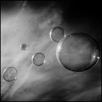 SMALL WORLDS