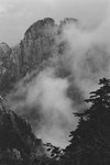 Above the Clouds (Mt Huangshan) #4