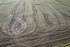 Tractor tracks in the fields