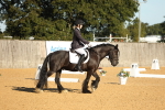 SBM_16423