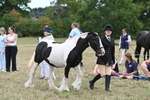 WJ6_5212