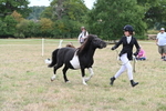 WJ6_5531