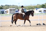 SBM_16792