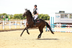 SBM_003145