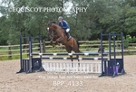BPP_4133
