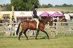 SBM_09629