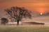 z2076 Sunrise over Ashey