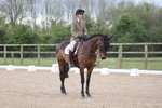 Unaffiliated Dressage portfolio