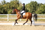 SBM_007629